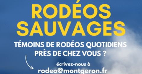 rodéos